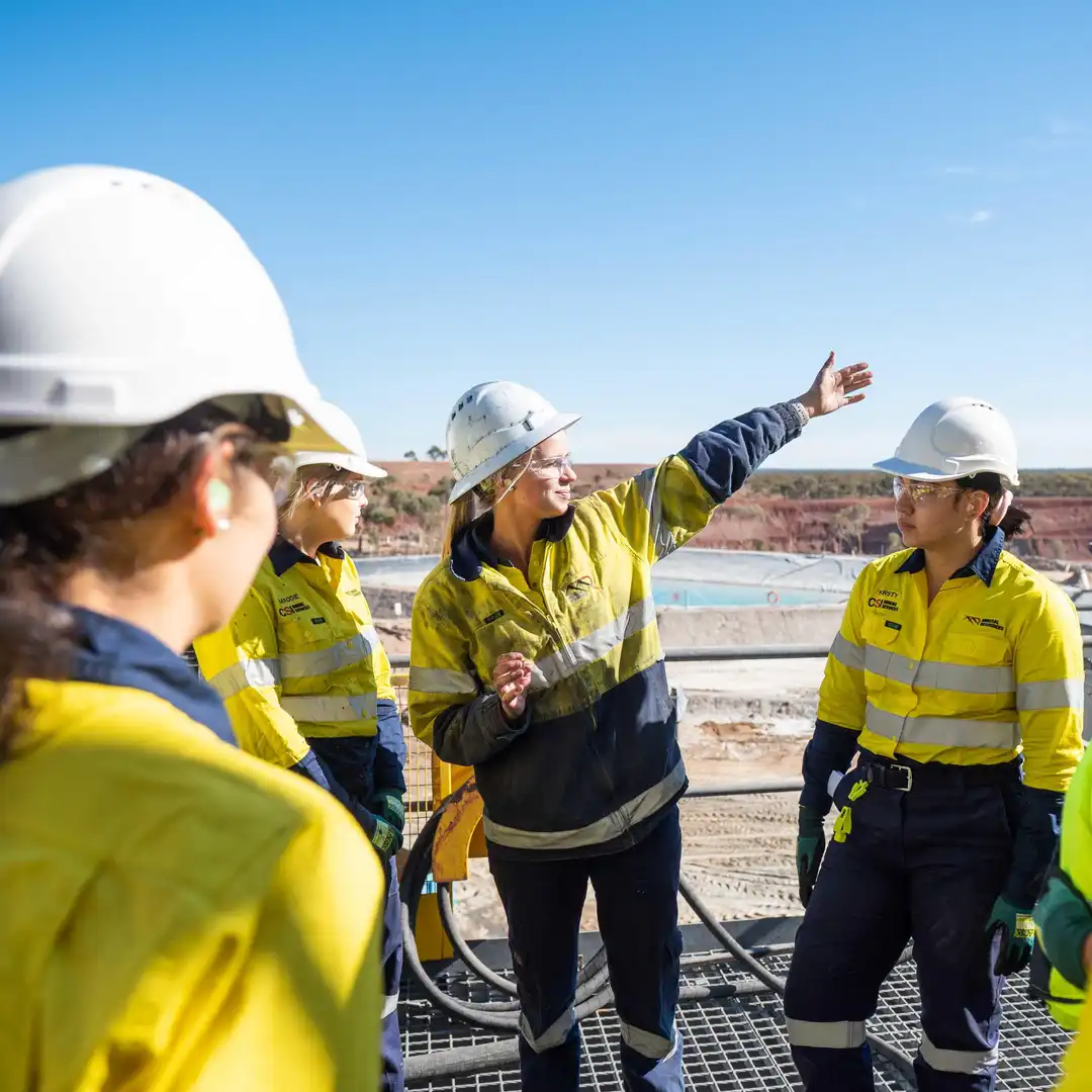 Mineral Resources Image